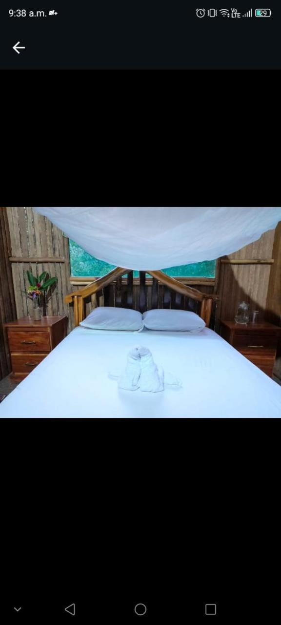 Hostel Castana Amazon Park Puerto Maldonado Zewnętrze zdjęcie