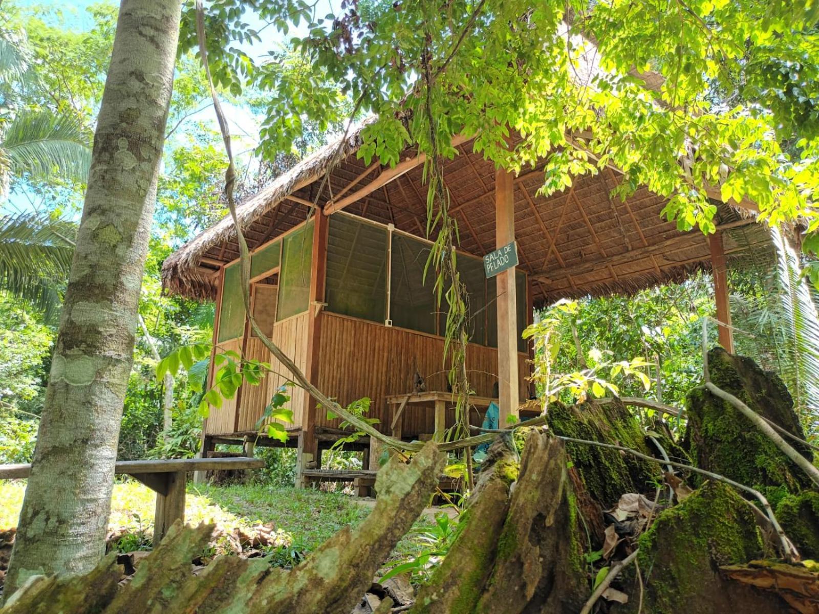 Hostel Castana Amazon Park Puerto Maldonado Zewnętrze zdjęcie