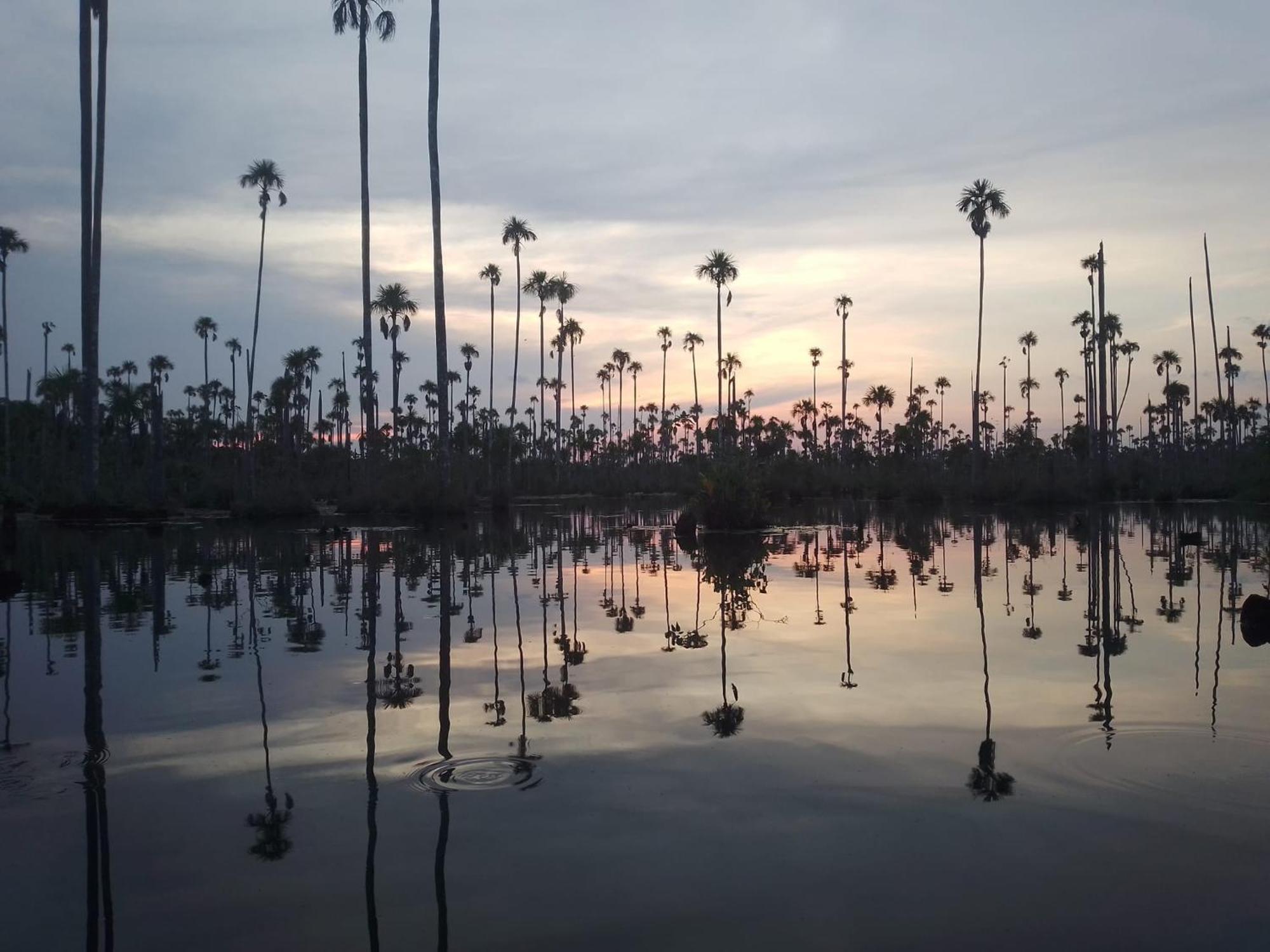 Hostel Castana Amazon Park Puerto Maldonado Zewnętrze zdjęcie